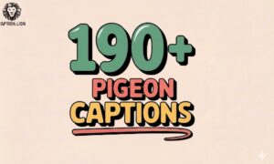 Pigeon Captions For Instagram